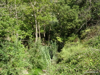 stoleone-09-08-2020 10